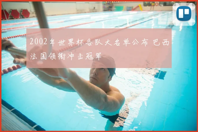 2002年世界杯各队大名单公布 巴西法国领衔冲击冠军