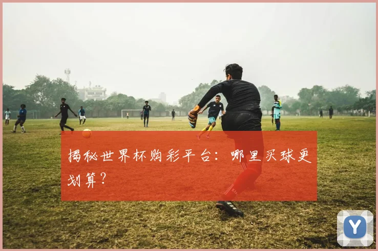 揭秘世界杯购彩平台：哪里买球更划算？