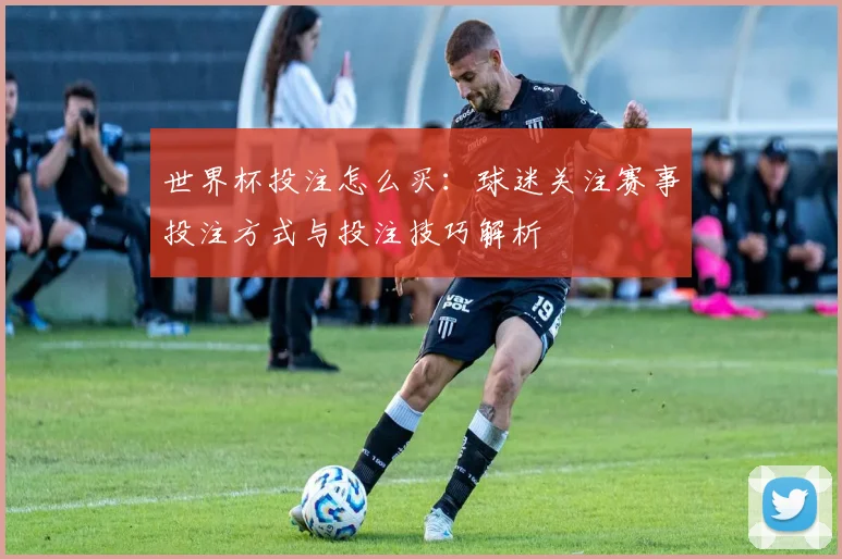 世界杯投注怎么买：球迷关注赛事投注方式与投注技巧解析