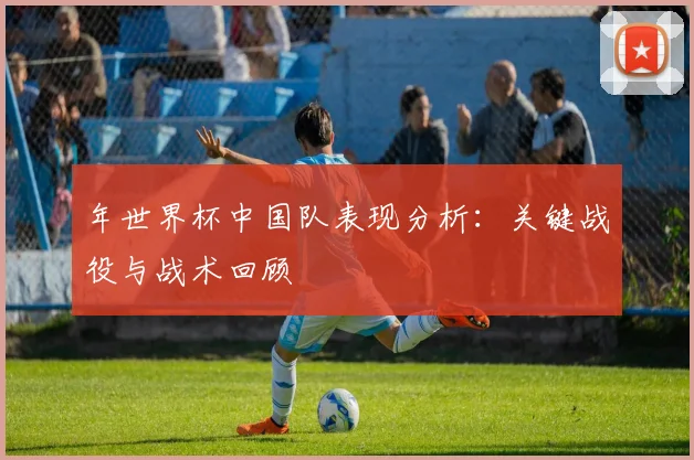 年世界杯中国队表现分析：关键战役与战术回顾