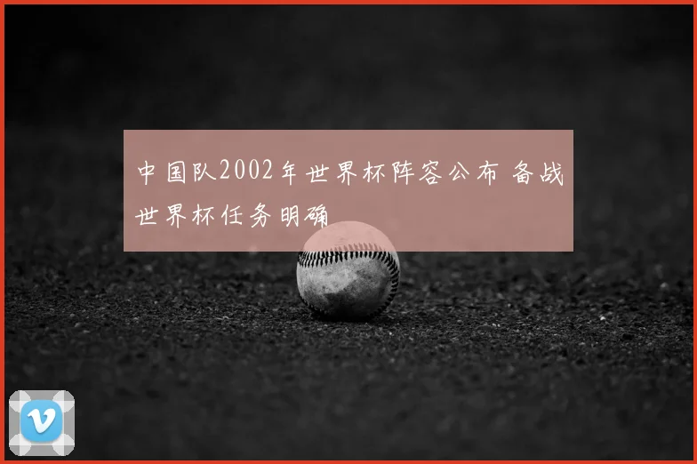 中国队2002年世界杯阵容公布 备战世界杯任务明确