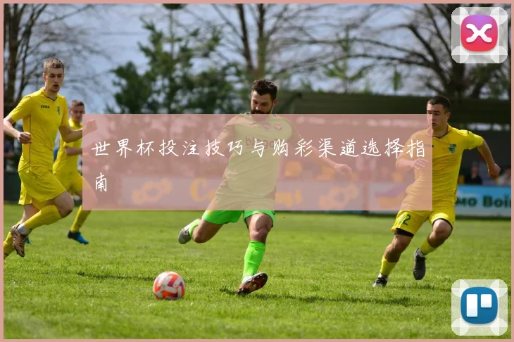 世界杯投注技巧与购彩渠道选择指南