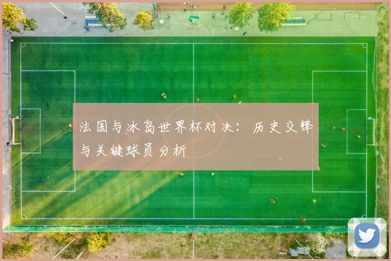 法国与冰岛世界杯对决:历史交锋与关键球员分析