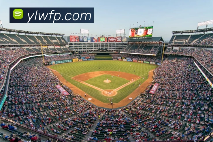 beat365唯一官方网站服务体系