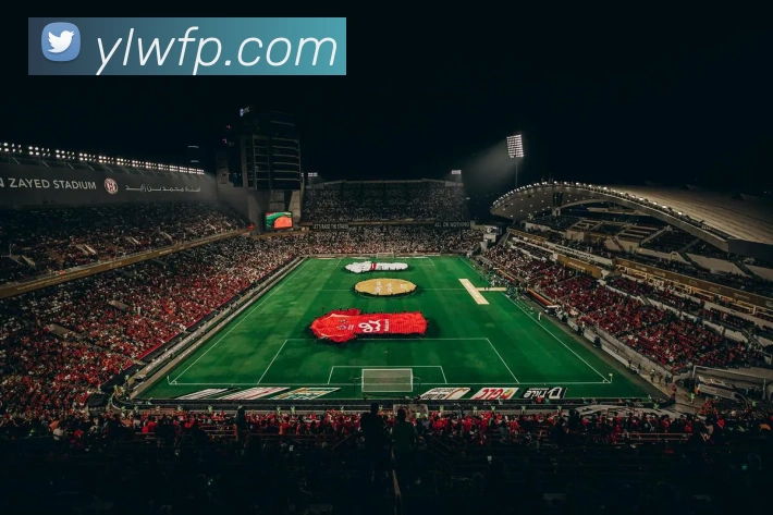 多媒体互动体验